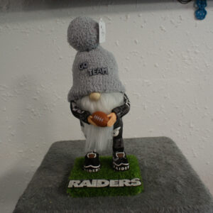 Football - LV Raiders 2