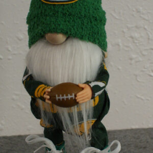 Football - Green Bay Packers 1
