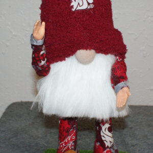 Football - WSU Cougars 1
