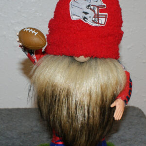 Football - New England Patriots 2