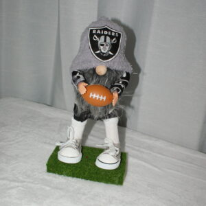 Football - LV Raiders 4