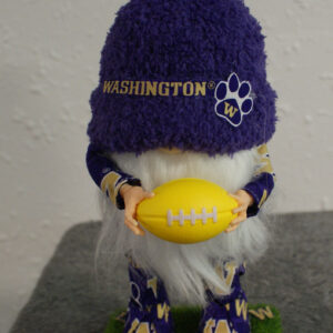 Football - WA Huskies 2
