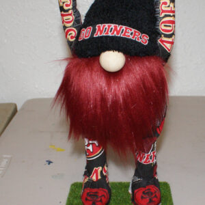 Football - SF 49ers 2