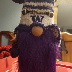 Football - WA Huskies 6