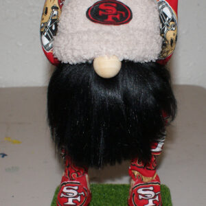 Football - SF 49ers 4