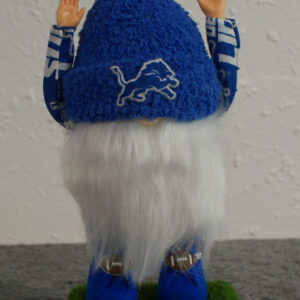 Football - Detroit Lions 1
