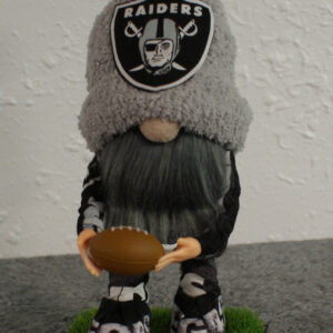 Football - LV Raiders 1