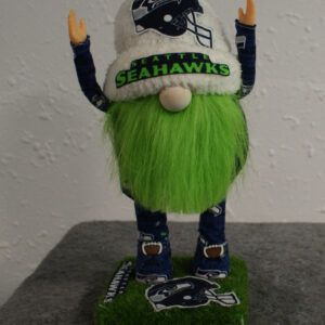 Football - Seahawks 1