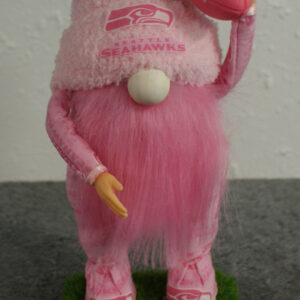 Football - Seahawks 3