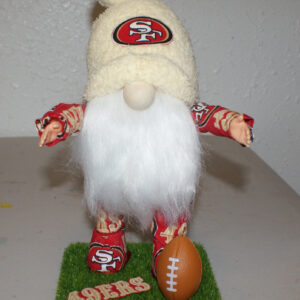 Football - SF 49ers 3