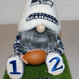 Football - Seahawks 5