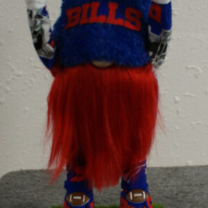 Football - Buffalo Bills 1