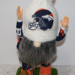 Football - Denver Broncos 2