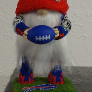 Football - Buffalo Bills 2