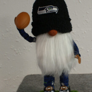 Football - Seahawks 4