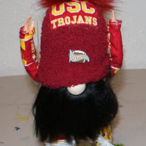Football - USC Trojans 1