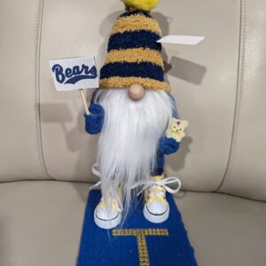 High School - Tahoma High Bears 1