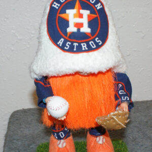 Baseball - Houston Astros 2