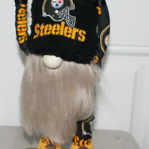 Football - Pittsburg Steelers 1