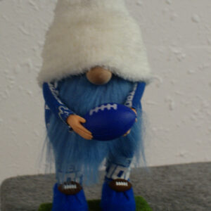 Football - Detroit Lions 2