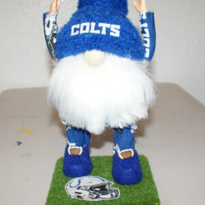 Football - Indianapolis Colts 1