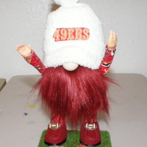 Football - SF 49ers 5