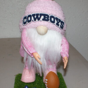 Football - Dallas Cowboys 2