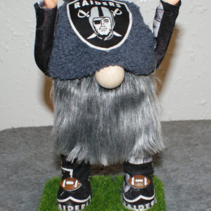 Football - LV Raiders 3