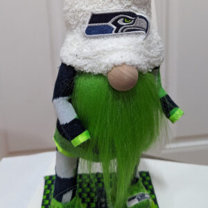 Football - Seahawks 12