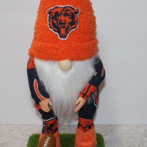 Football - Chicago Bears 3