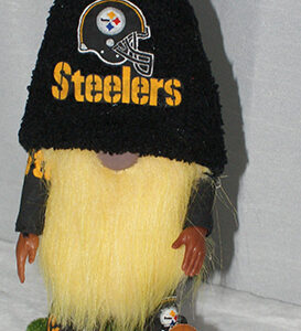 Football - Pittsburg Steelers 2