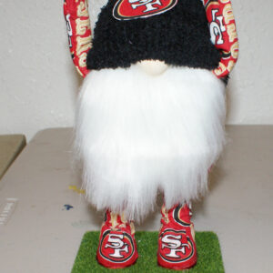 Football - SF 49ers 6