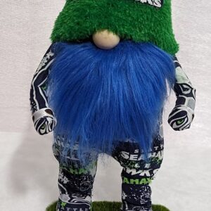 Football – Seahawk 11