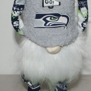 Football - Seahawks 11