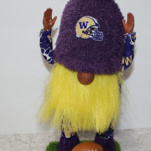 Football - UW Huskies 12