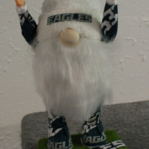 Football - Philadelphia Eagles 1