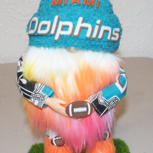 Football - Miami Dolphins 2
