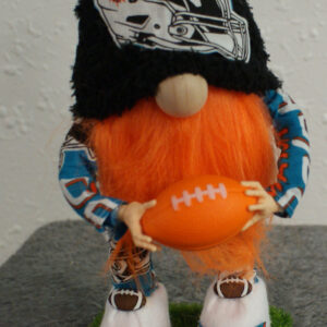 Football - Miami Dolphins 1