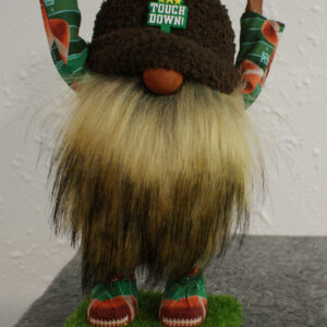 Gnome - Football - Touch Down 1