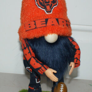 Football - Chicago Bears 3