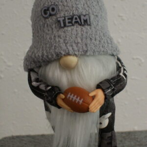 Football - LV Raiders 2