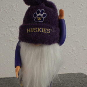 Football - UW Huskies 9