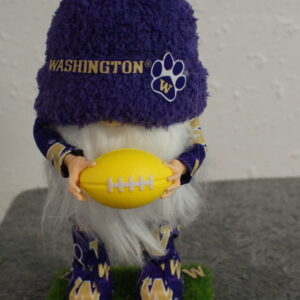Football - UW Huskies 8