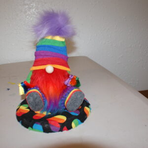 Gnome - Rainbow Guy 1