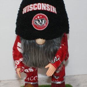 Football - Wisconsin 2