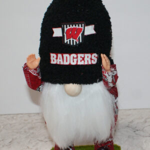 Foottball - Wisconsin 1