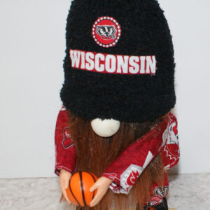 Basketball - Wisconsin 1