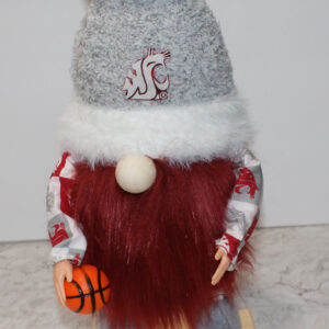 Basketball - WSU Cougars 1
