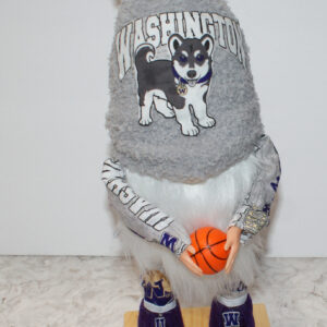 Basketball - UW Huskies 1