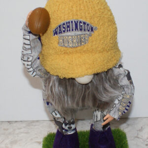 Gnome - Football - UW Huskes 14